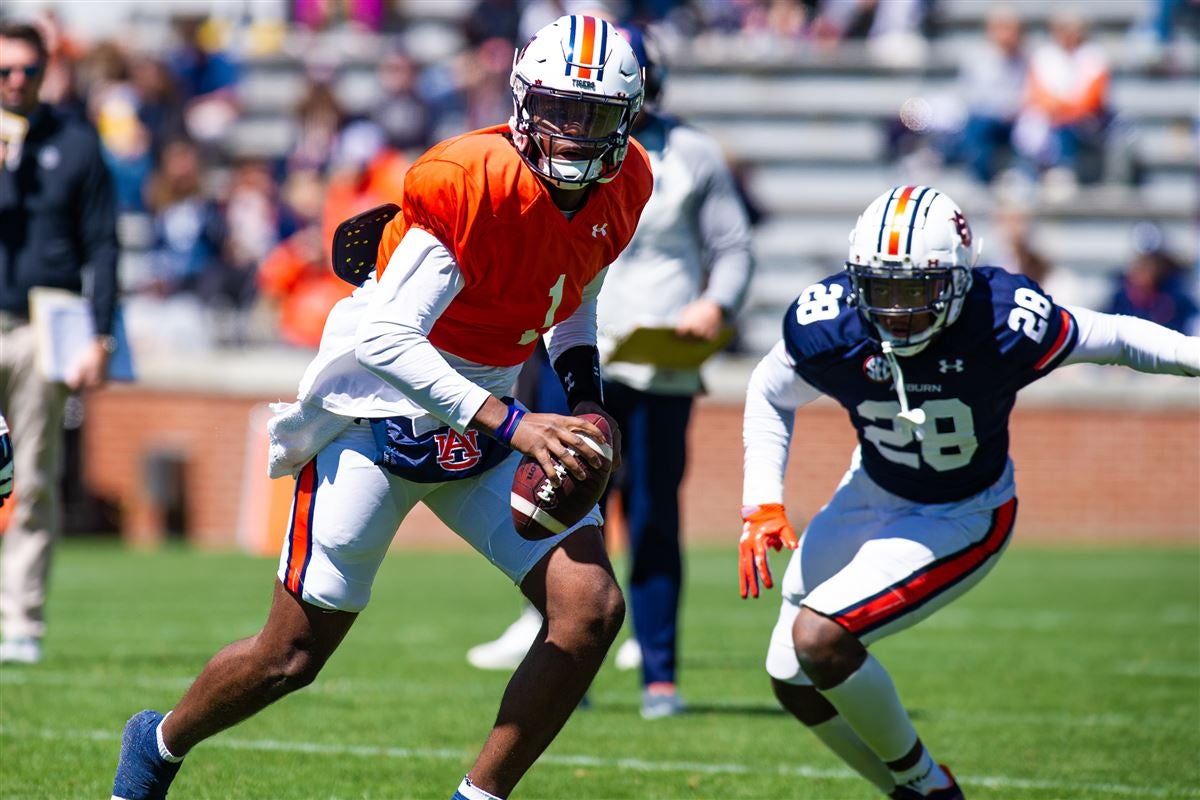 IN PHOTOS Auburn ADay game