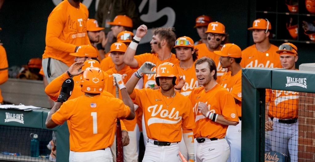 Tennessee Baseball Stadium T-Shirt