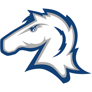 Chargers