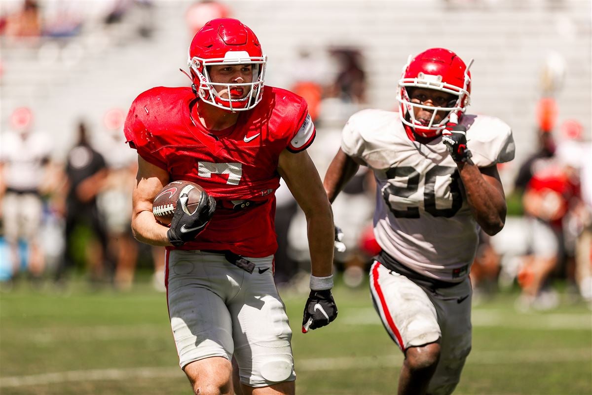 Georgia tight end Lawson Luckie ‘has grown up a lot’ in 1st year with ...