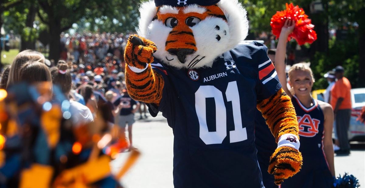 College football Recent study reveals the 16 biggest fan bases