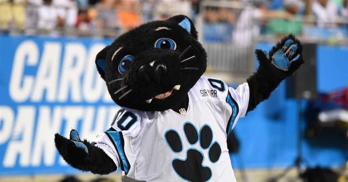 Mascot panthers nfl carolina Panthers' Sir Purr named NFL Mascot of the Year