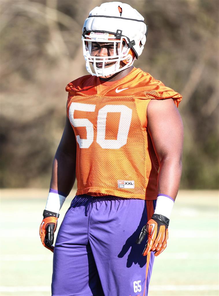 Grady Jarrett Clemson - ABC Columbia