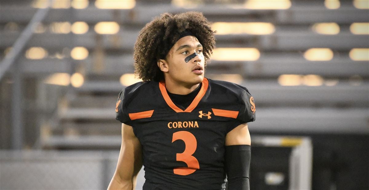 Raiden Vines-Bright, Corona Del Sol, Wide Receiver