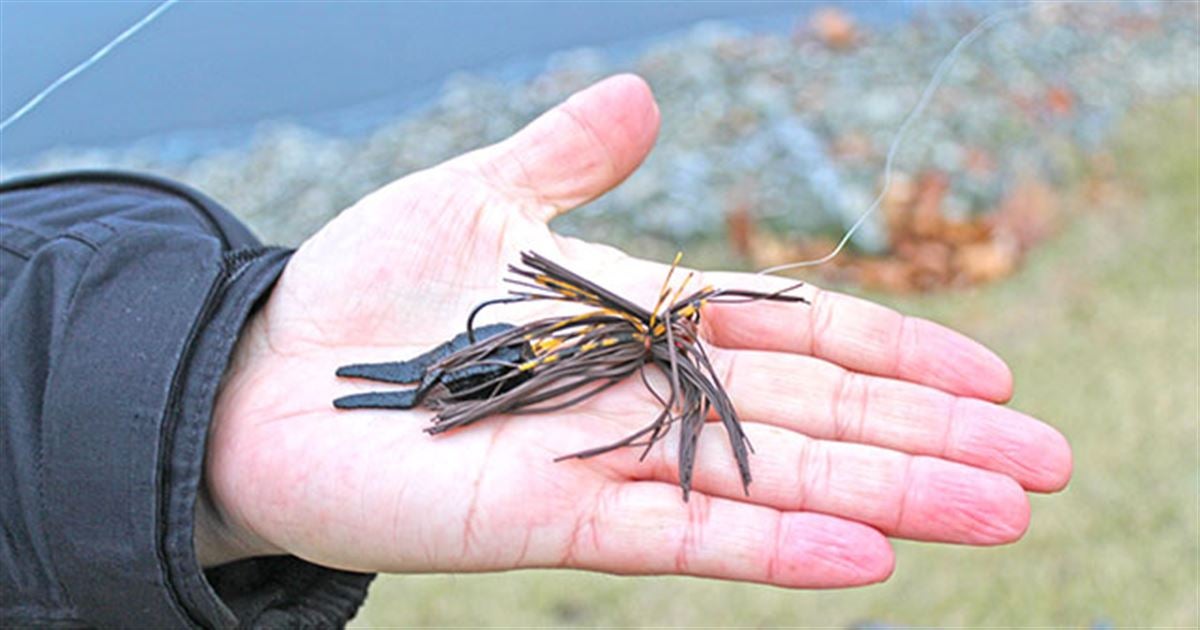 Cool Jig ‘n’ Pig For Cold Water Bass