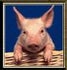 HawgSlopper avatar