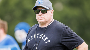Catspause 247sports hot sale