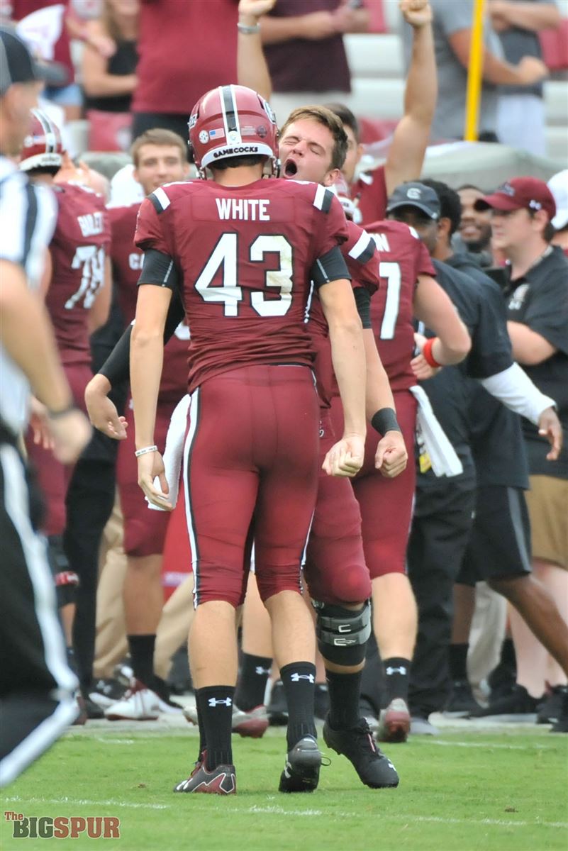 PFF: South Carolina's Parker White posts top kicker grade in country -  GamecockScoop