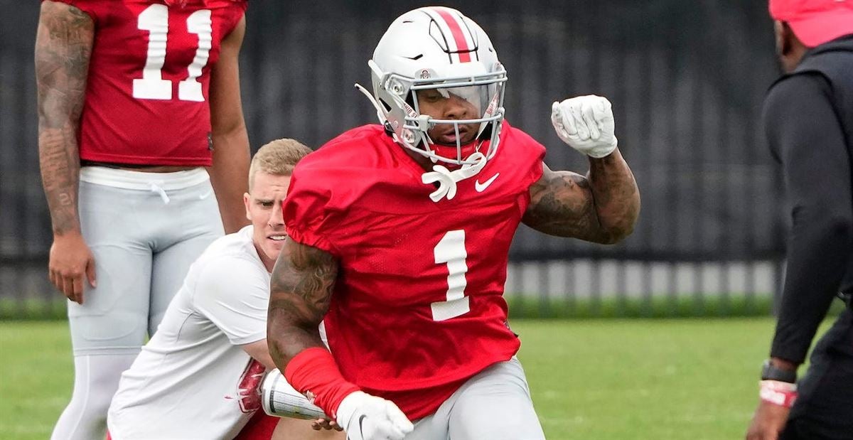 Ohio State football captain Kamryn Babb suffered injury 'setback,' but  expected to return 