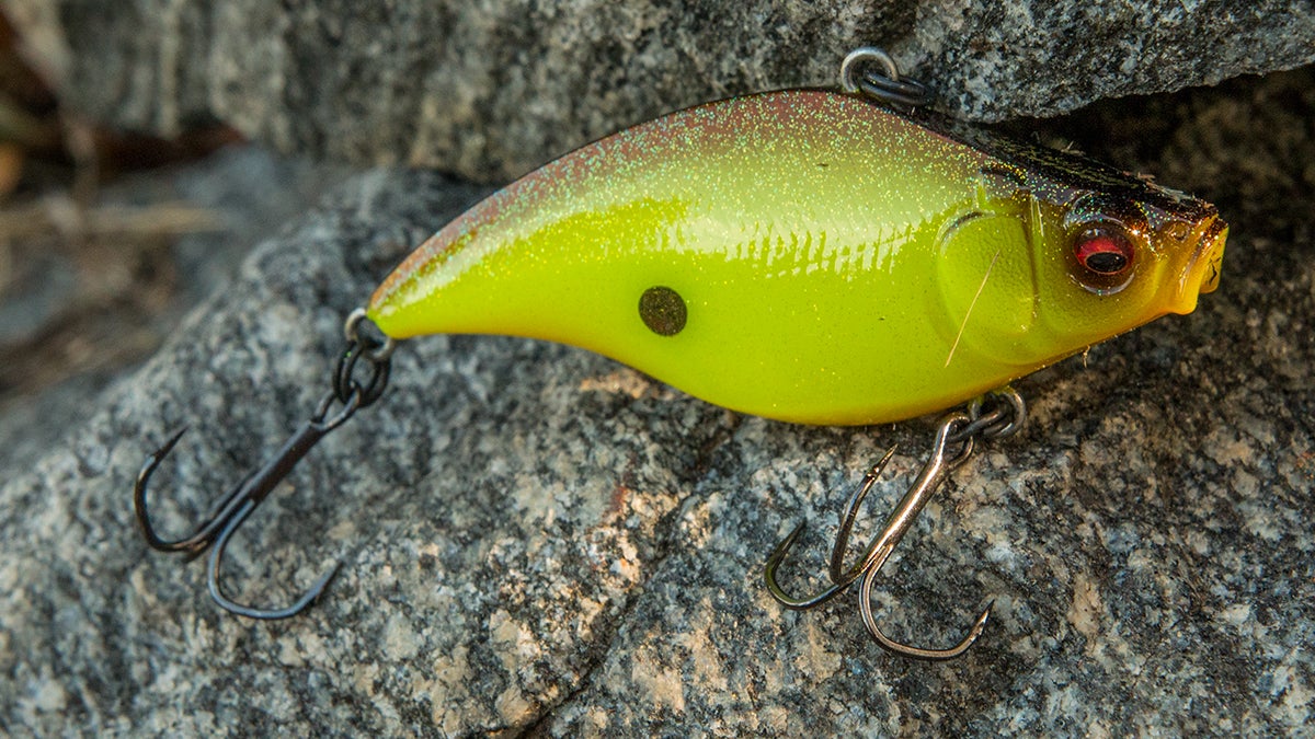 5 Must-Have Lipless Crankbait Colors