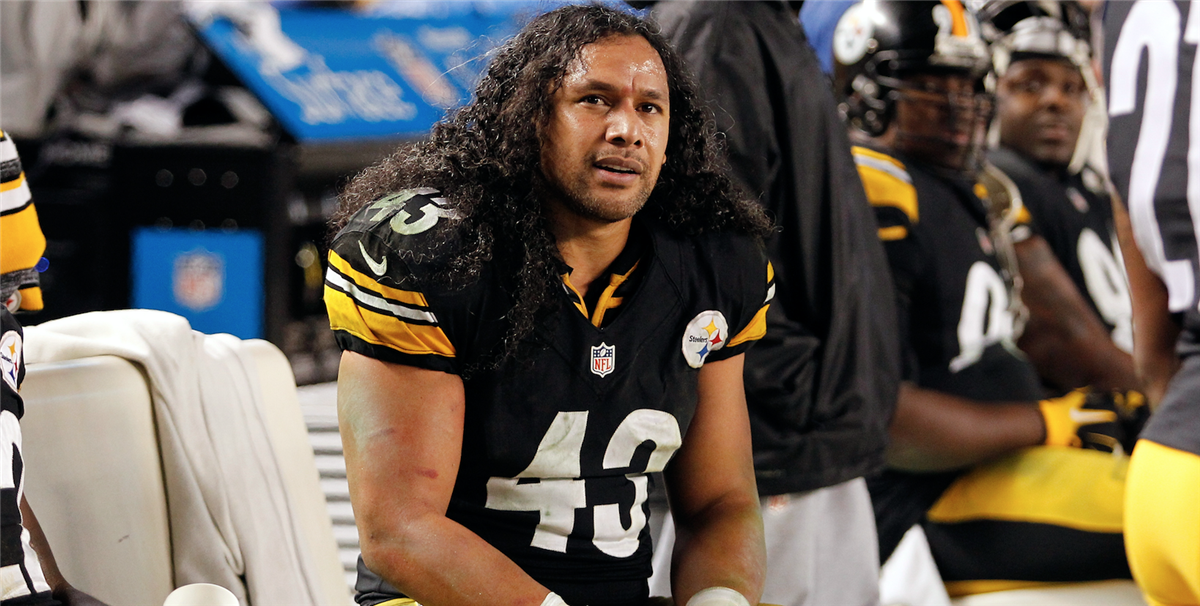 Steelers' Troy Polamalu headlines NFL Hall of Fame Class of 2020 - Newsday