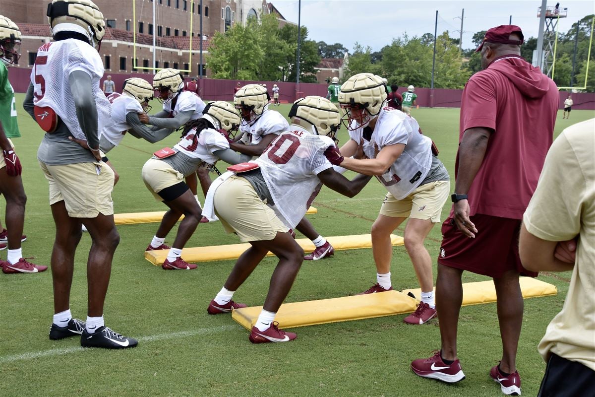 Florida State Freshman Wide Receiver Goldie Lawrence Enters The NCAA ...