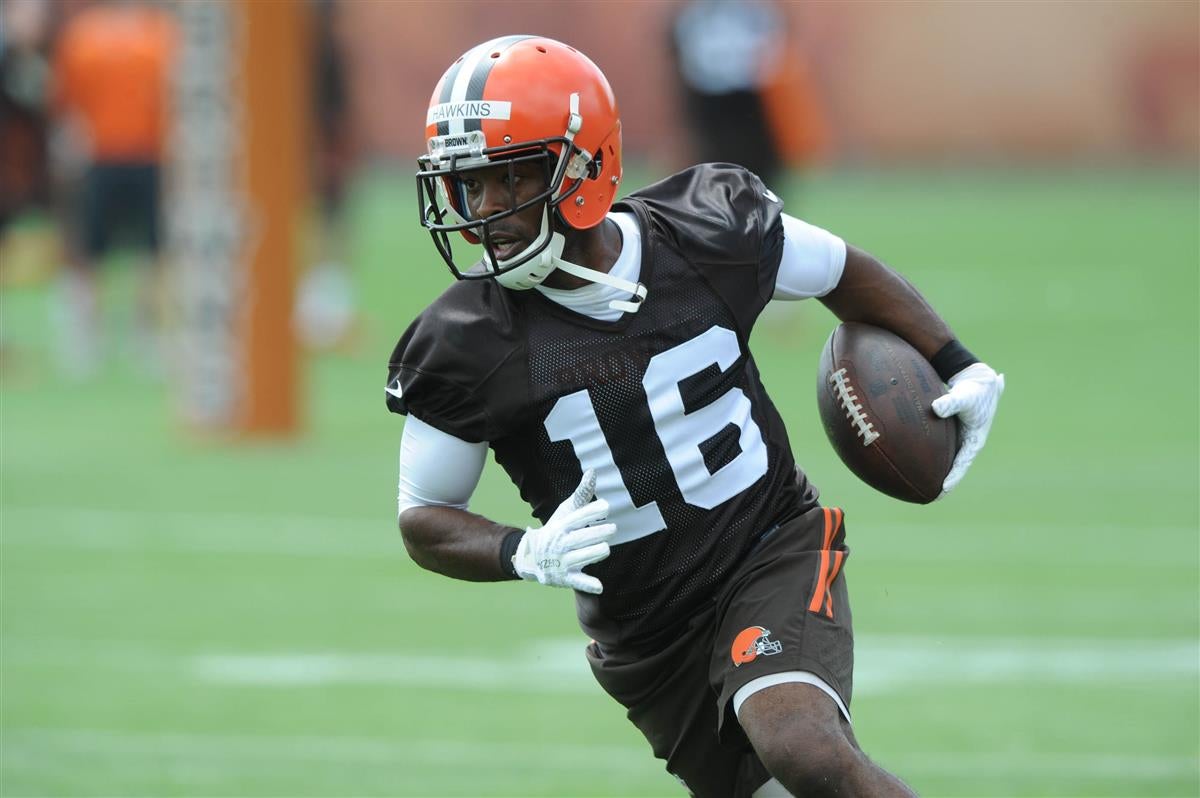 Andrew Hawkins Stats, News and Video - WR