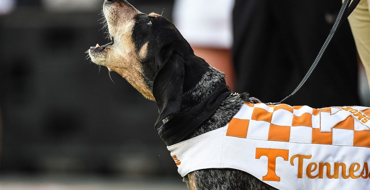 College football Recent study reveals the 16 biggest fan bases