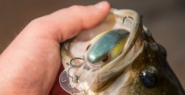 SPRO RkCrawler 55 – Lures and Lead