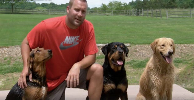 Photos Of Pittsburgh Steelers Players With Their Dogs