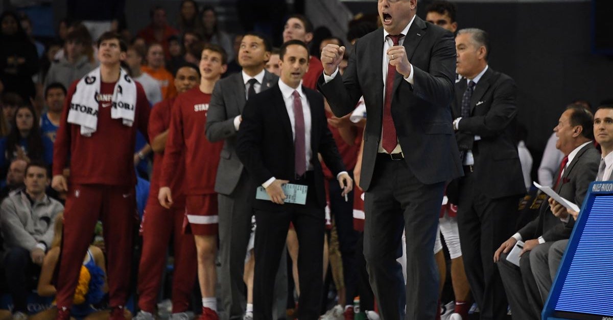 Cardinal Showing Signs Of An Established Culture