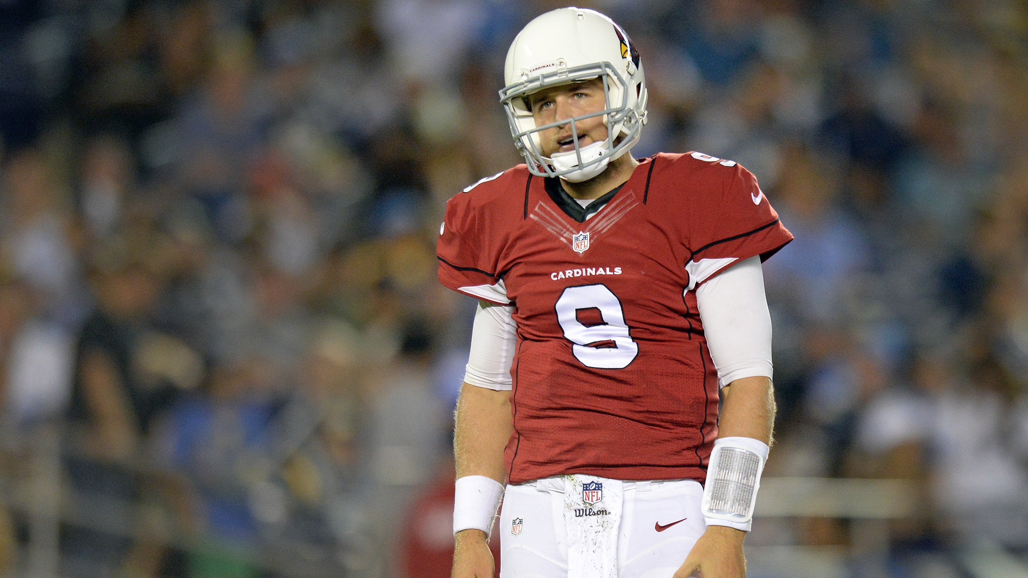 Arizona Cardinals QB Carson Palmer flawless throughout first preseason drive