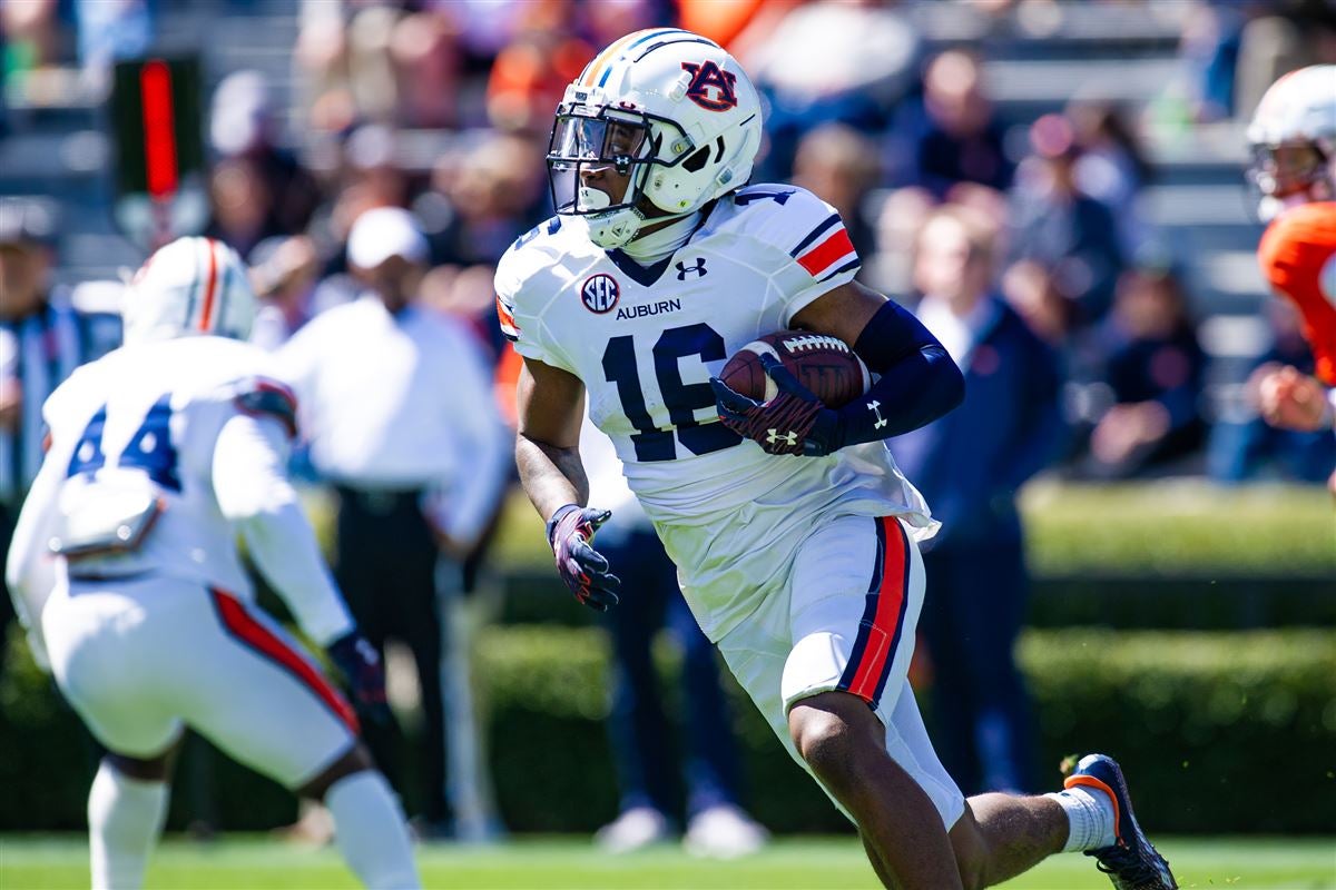 IN PHOTOS Auburn ADay game