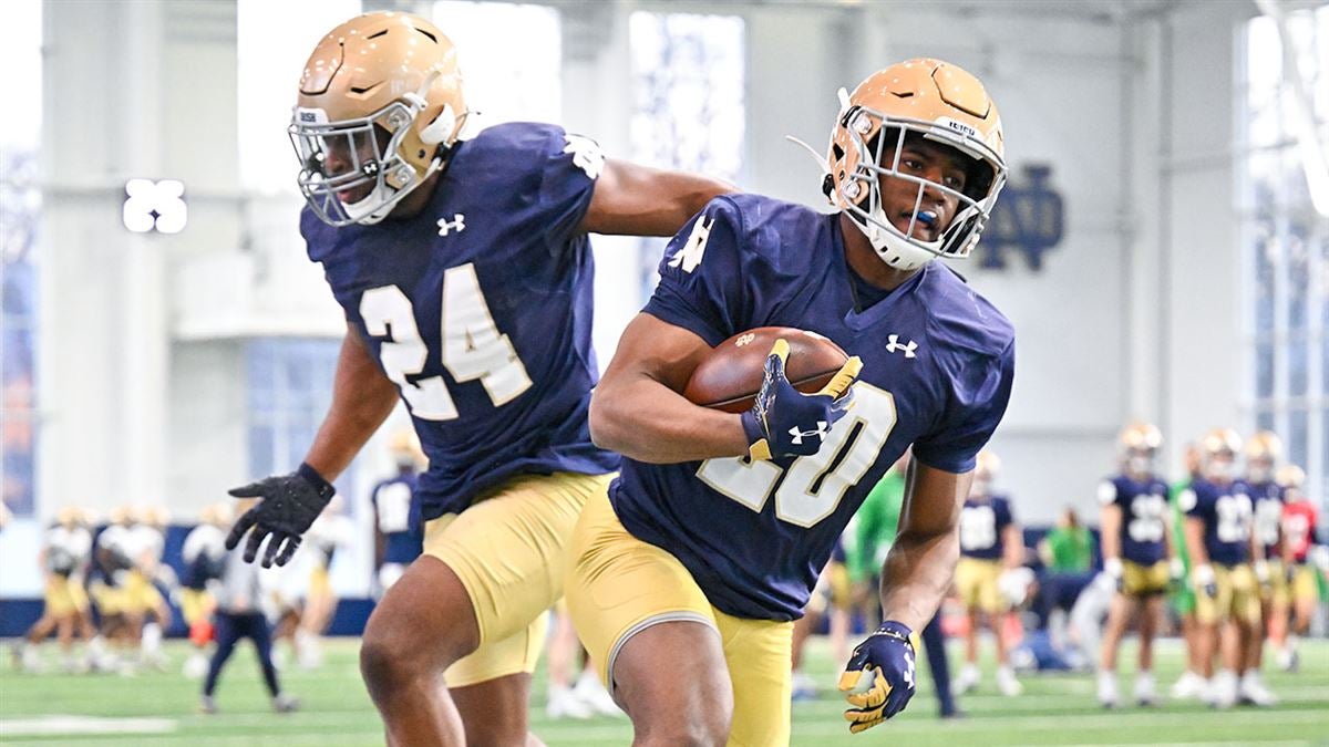 Notre Dame Running Backs Three Questions, Two Answers, One Opinion