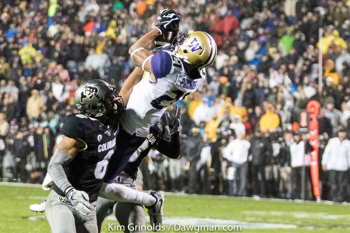 NFL Draft Profile: Washington Huskies DL Josiah Bronson - UW Dawg