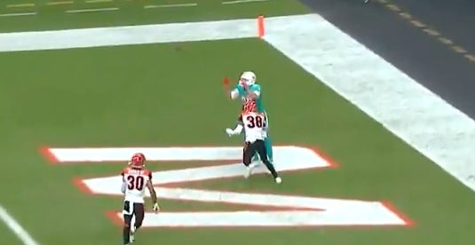 Watch the Magic of Miami Dolphins' Mike Gesicki's One-Hand Grabs