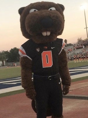 Oregon State using 'Benny the Beaver' for recruiting