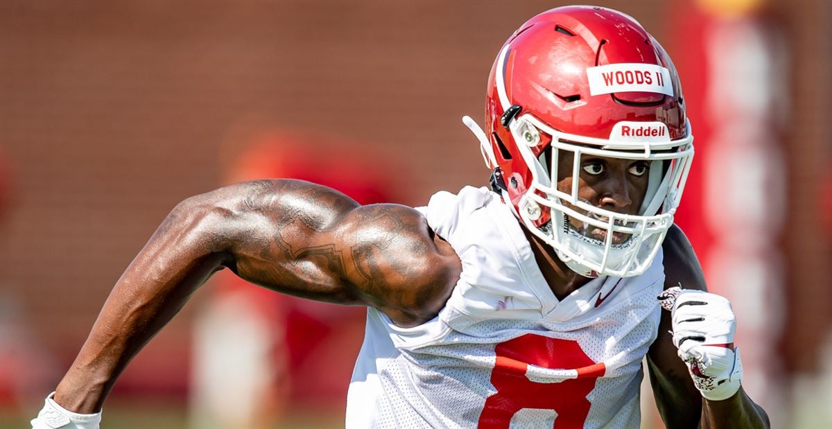 The forgotten receiver: Meet Michael Woods II - Dawgs By Nature