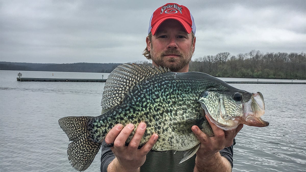 Pending Illinois State Record Crappie Caught with regard to Fishing Tips Illinois Pending Illinois State Record Crappie Caught with regard to Fishing Tips Illinois