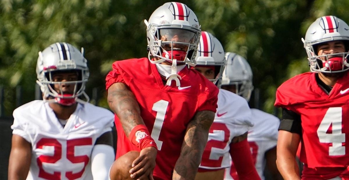 Kamryn Babb Faces Injury Setback During Fall Camp – Buckeye Sports Bulletin