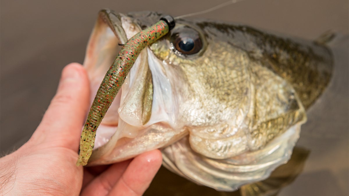 ZMan Hula StickZ Review