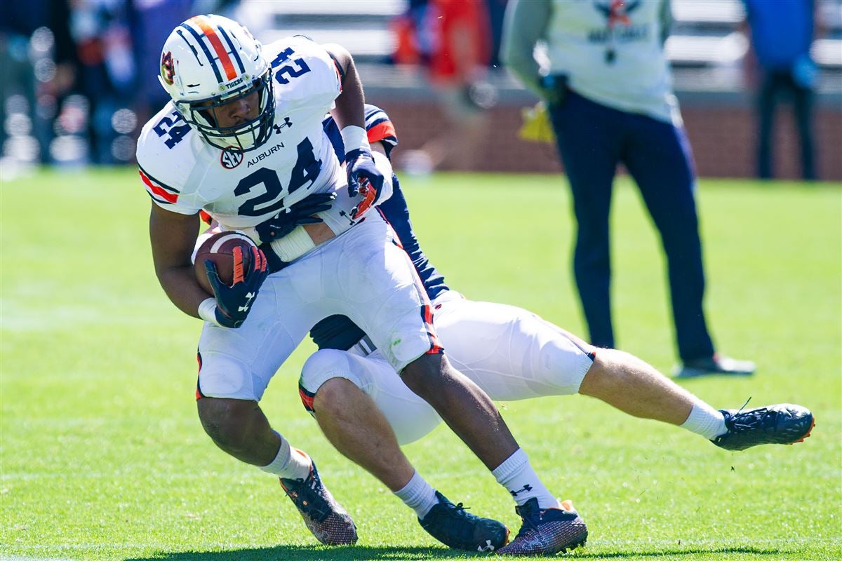 IN PHOTOS Auburn ADay game