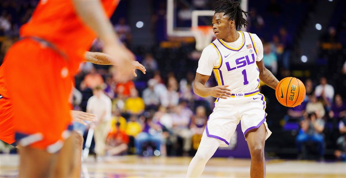 LSU Tigers guard Cam Hayes (1) tries to make a move against