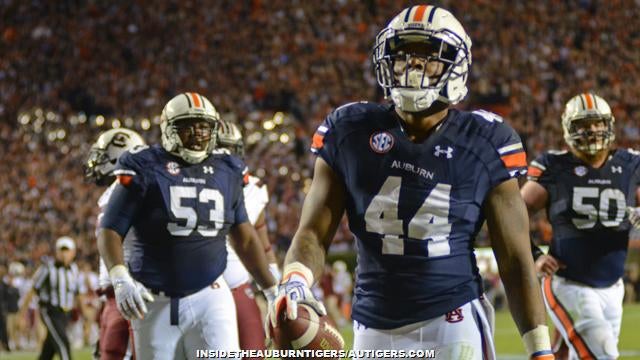 Auburn Tigers 2015 NFL Draft Prospect Cameron Artis-Payne - College and  Magnolia