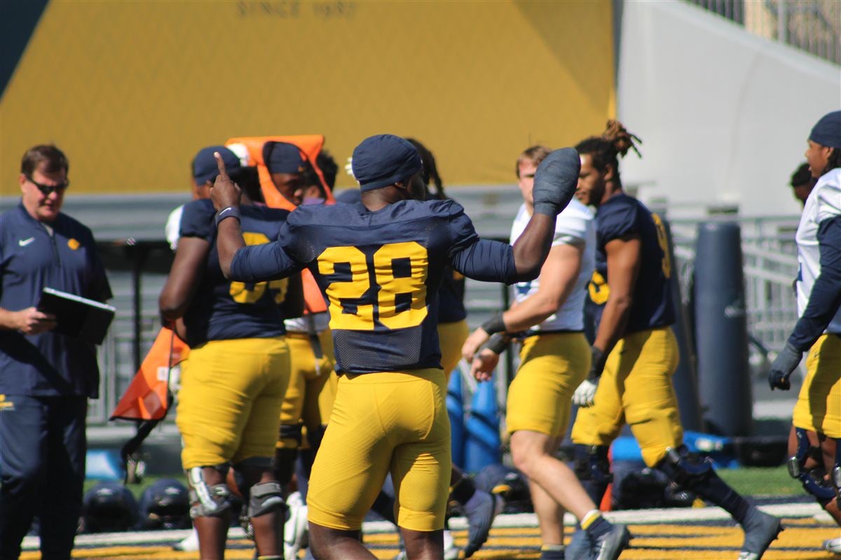 Photo Gallery: First look at WVU Football this Spring