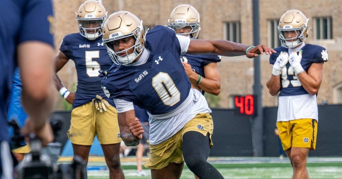 The Notre Dame Newcomer Report