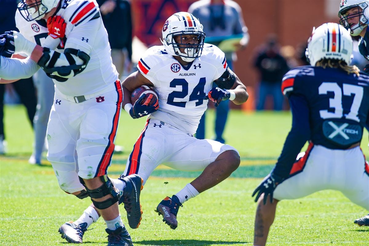 IN PHOTOS Auburn ADay game