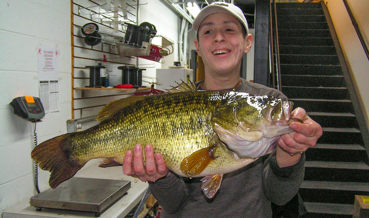 Giant Delaware Bass Breaks State Record