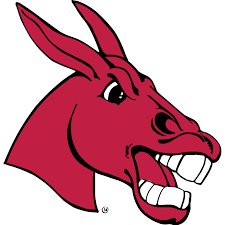 Central Missouri Mules