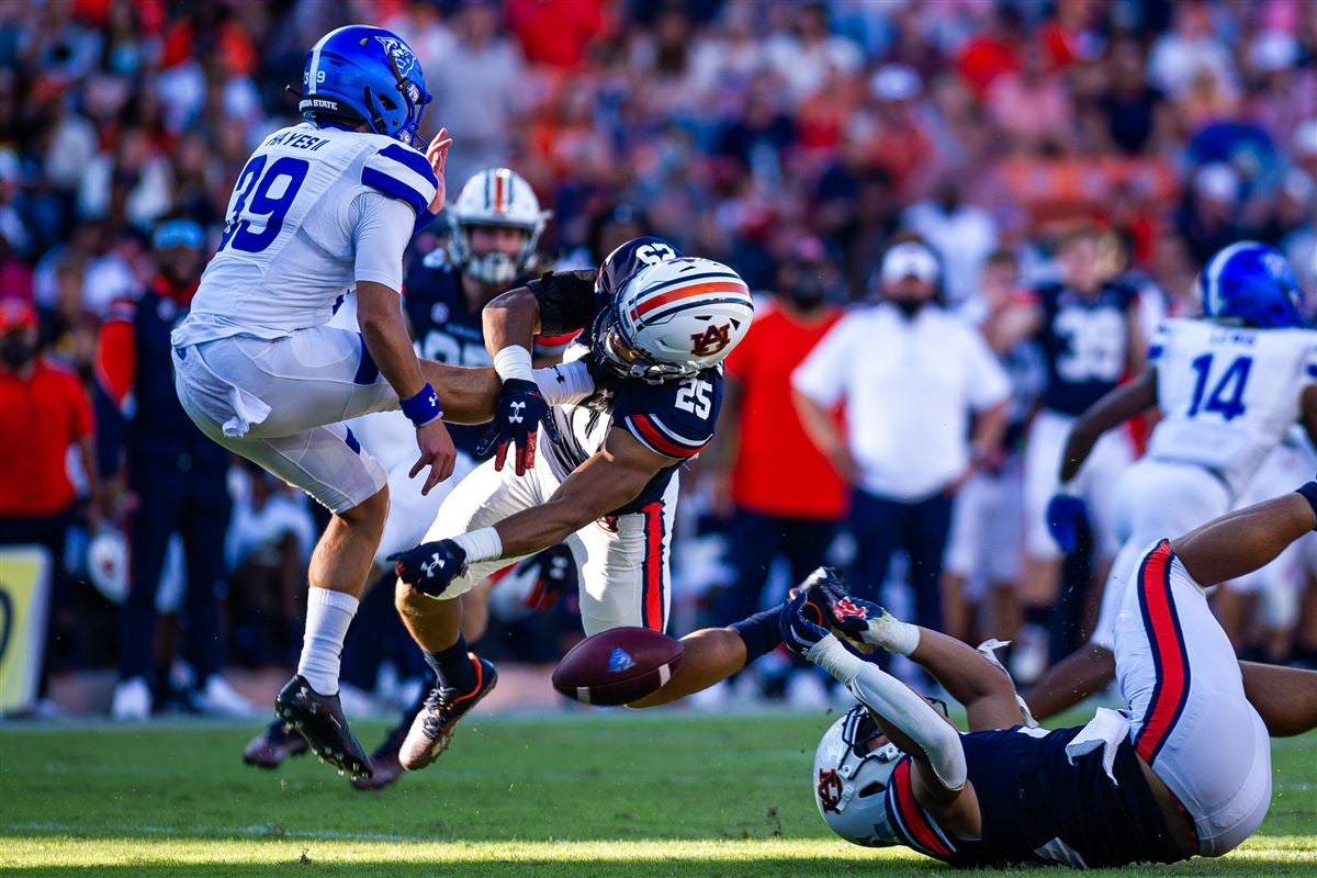 Auburn football: Caylin Newton, Cam Newton's brother, in transfer