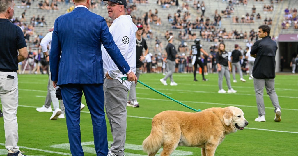 How the Browns paid tribute to Kirk Herbstreit's late dog, Ben
