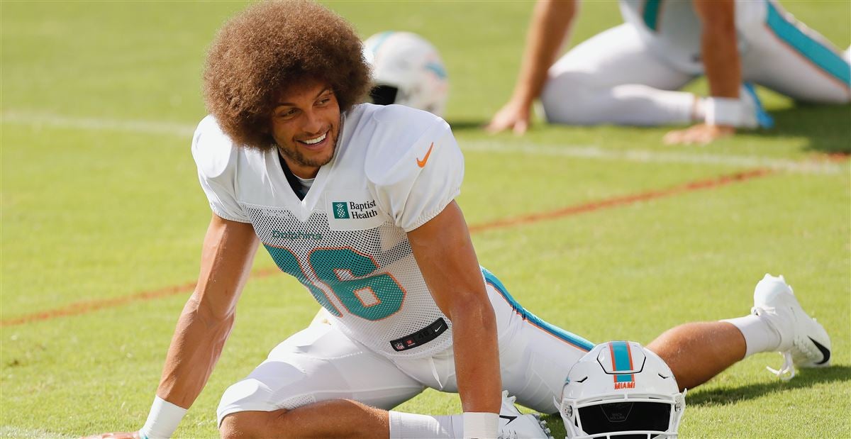 hollins miami dolphins