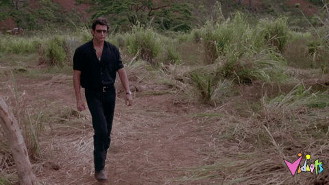 10848734.gif