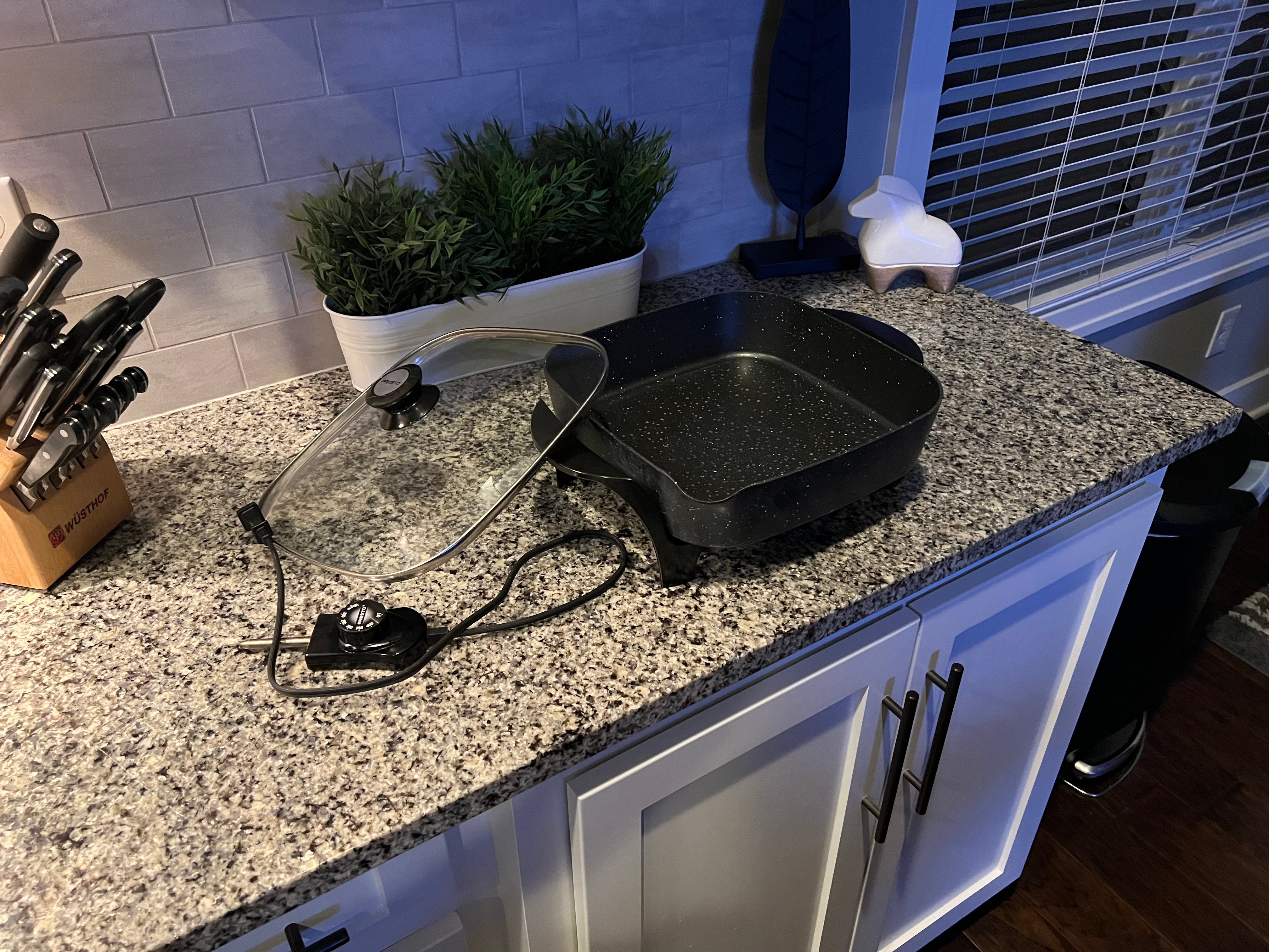 Anyone use hot plates or electric skillets?