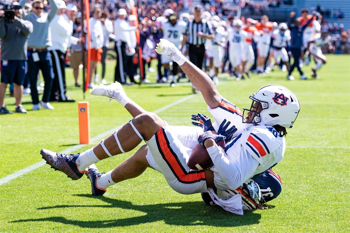 IN PHOTOS Auburn ADay game