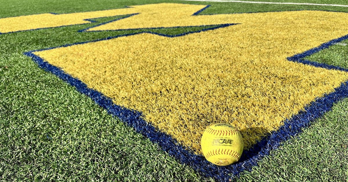 Michigan softball 2025 season preview: The Wolverines approach new Big ...