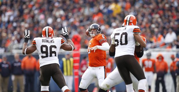 Skunk Invades Bleachers at Cleveland Browns' Stadium