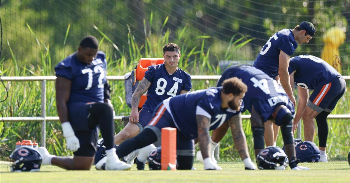 Ahead of pivotal year two, Colston Loveland making big strides in training camp