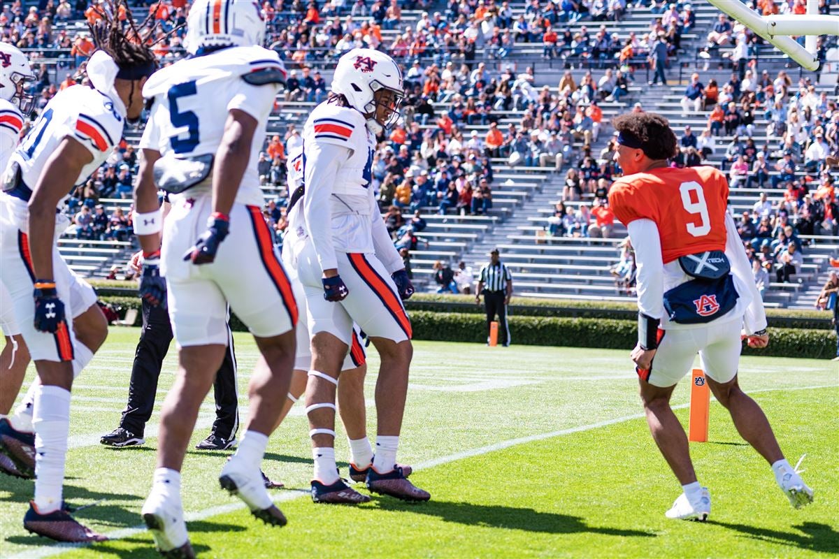 IN PHOTOS Auburn ADay game