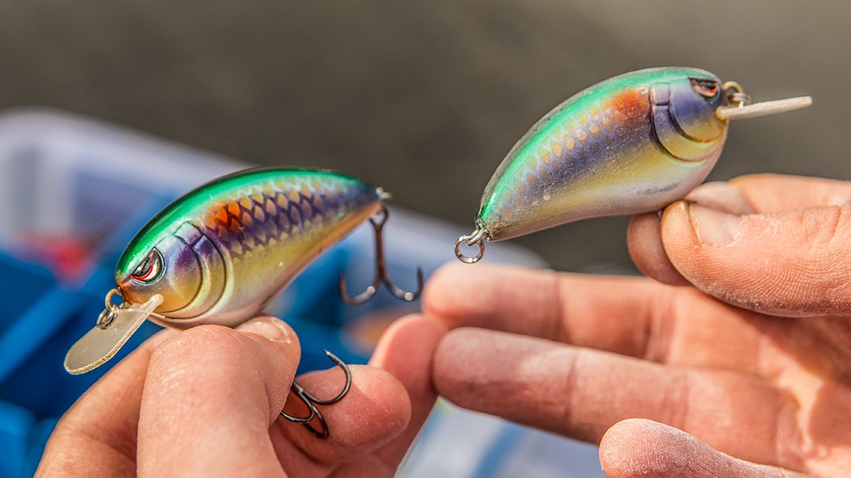 Why You Should Sand Your Crankbaits
